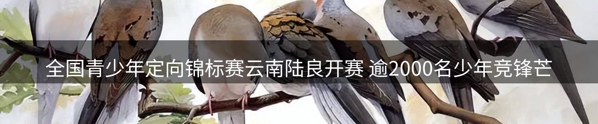 行业报道