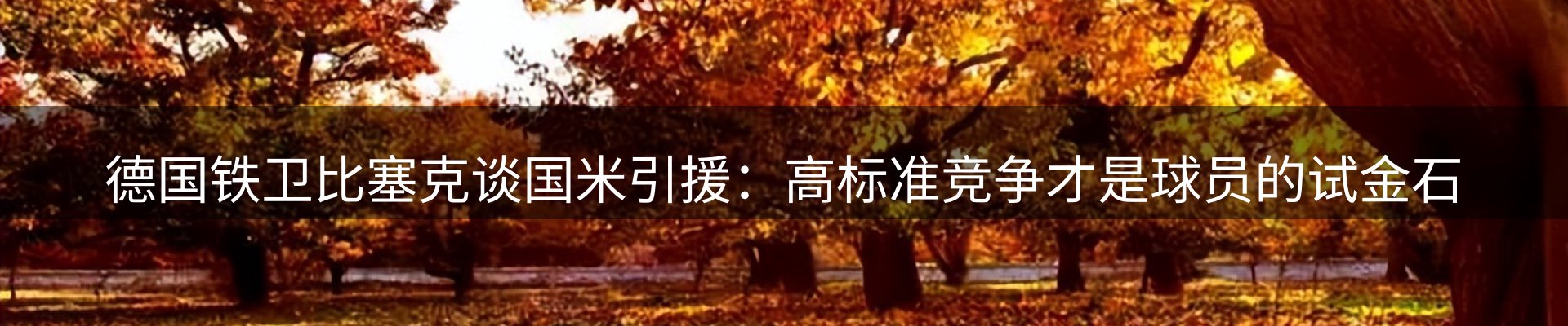 行业报道