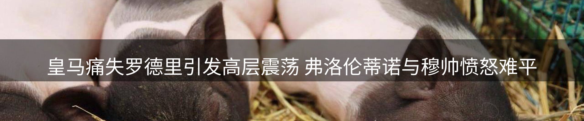 行业报道