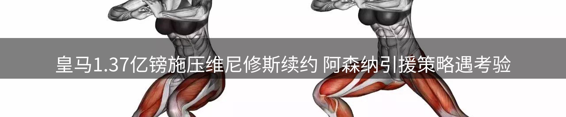 行业报道