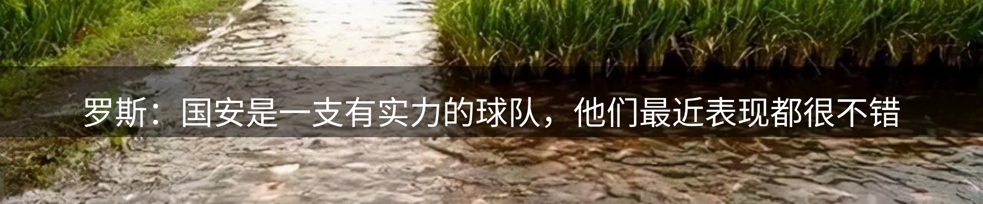 行业报道