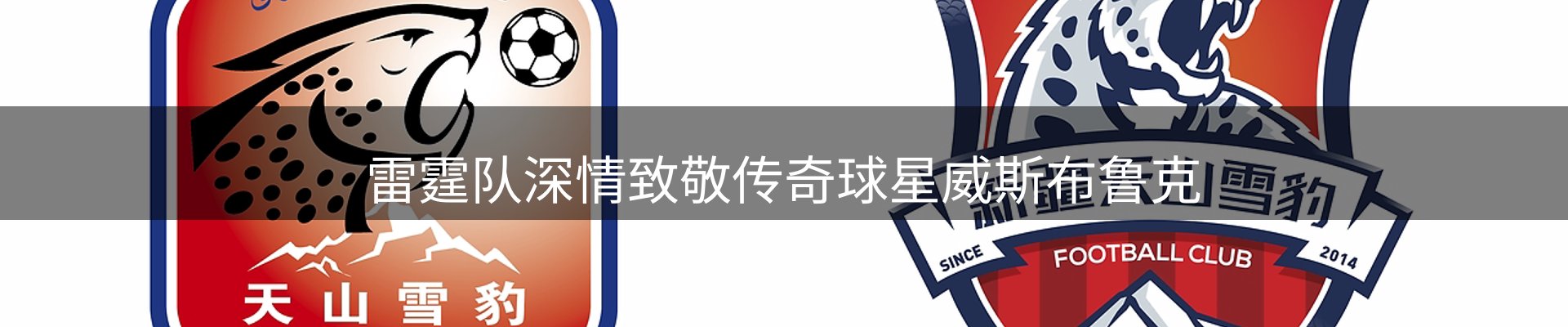 行业报道