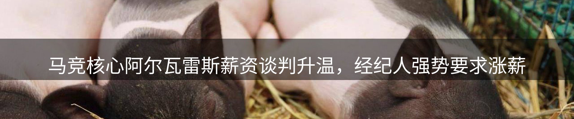 行业报道