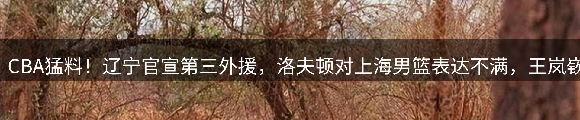 行业报道
